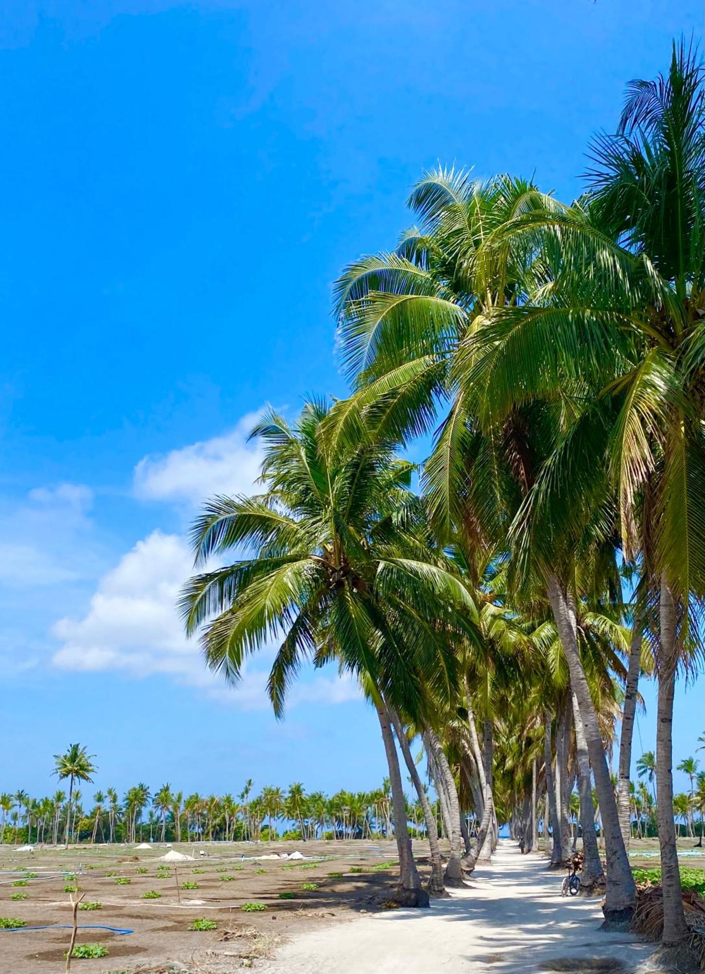 Sorenzo Maldives Тодду Экстерьер фото